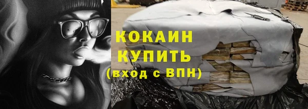 шишки Бабаево