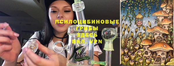 прущие грибы Мегион