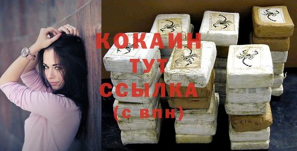 прущие грибы Мегион