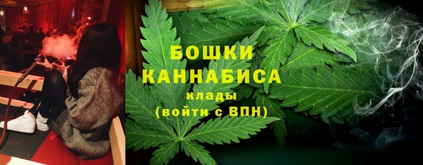 молекула духа Медногорск