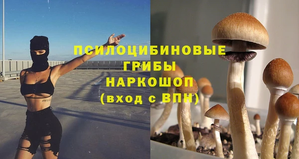молекула духа Медногорск