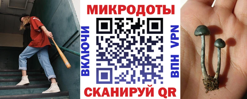 hydra зеркало  Ильский  Псилоцибиновые грибы мухоморы 